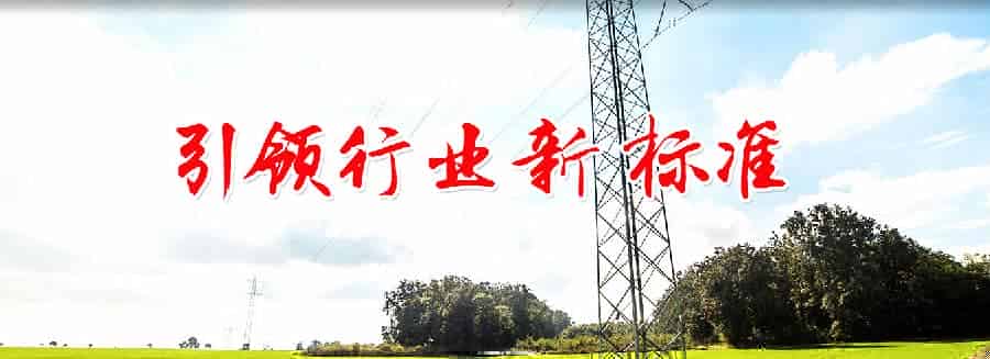 山东泰开电力电子有限公司签约思普软件维护合同