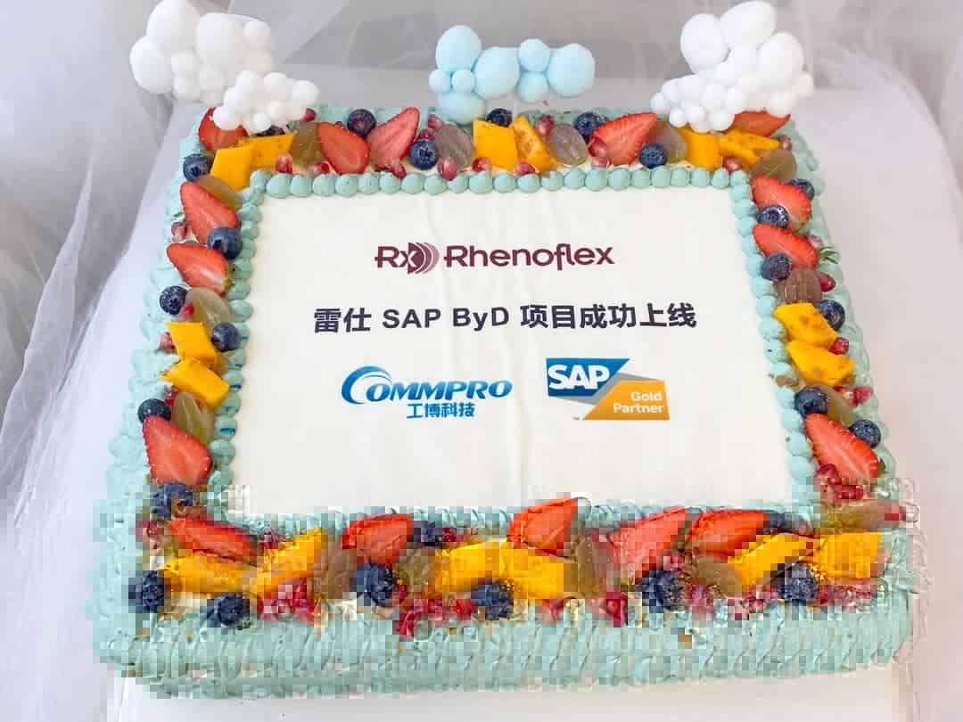 东莞雷仕SAP ByD数字化升级一期成功上线