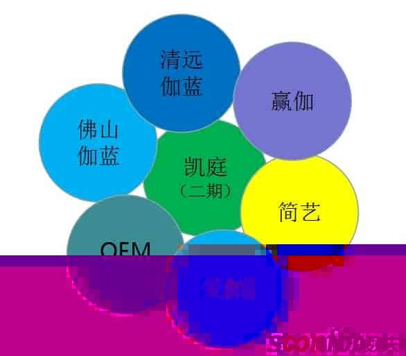 解密|全卫定制龙头企业-伽蓝集团数字化转型之路！