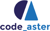Code_Aster 对层压木质结构的地震响应进行自动化非线性建模中的应用