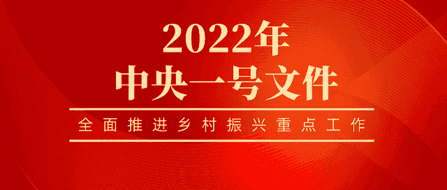 农村集体产权制度改革档案案例，看畅飞扬档案数字化加工解决方案