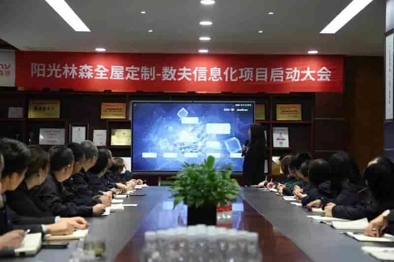 阳光林森和数夫软件信息化系统项目全面启动！
