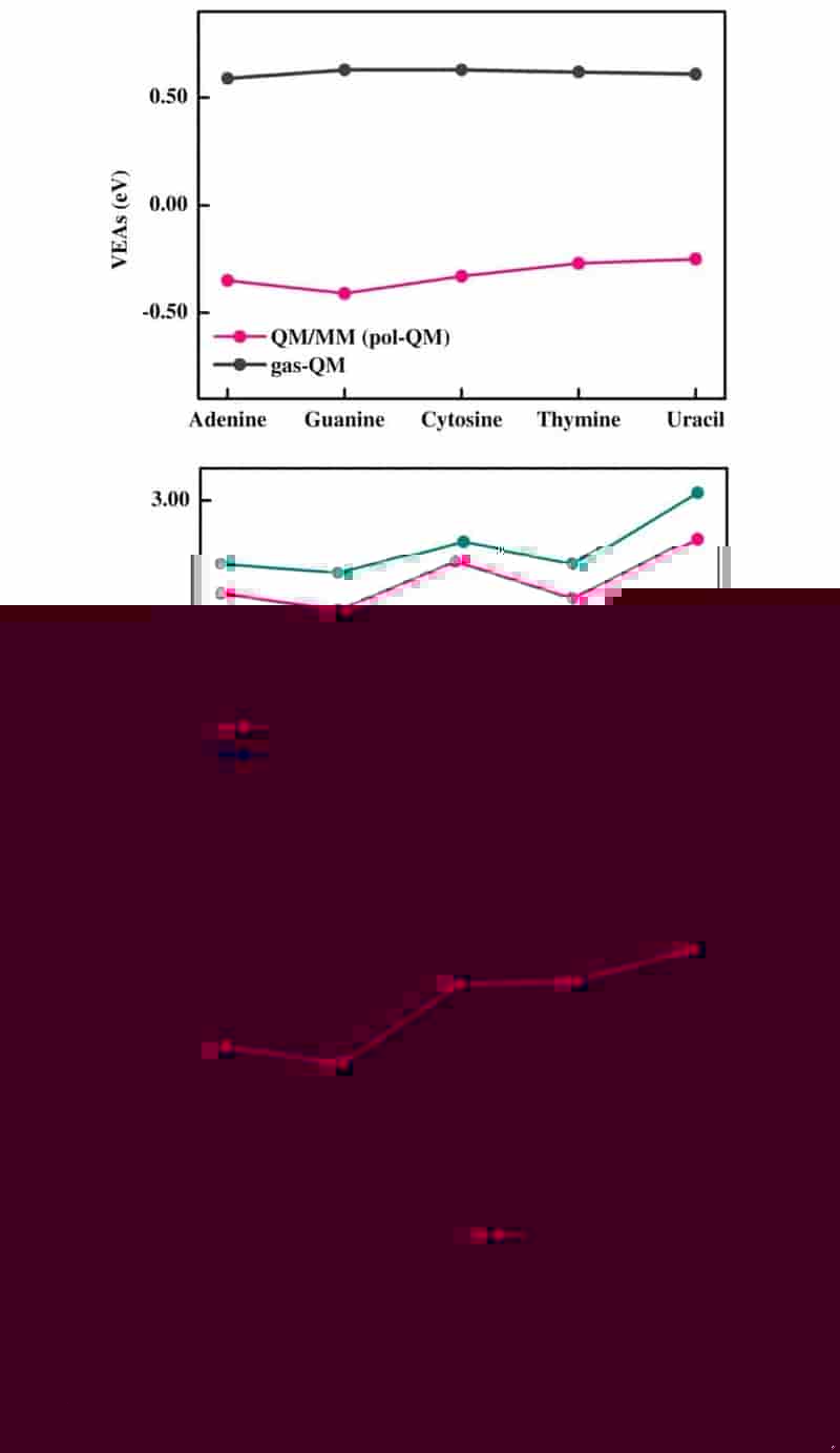 大连化学物理研究所韩克利教授团队成果：核酸碱基在水中的电离和电子附着力