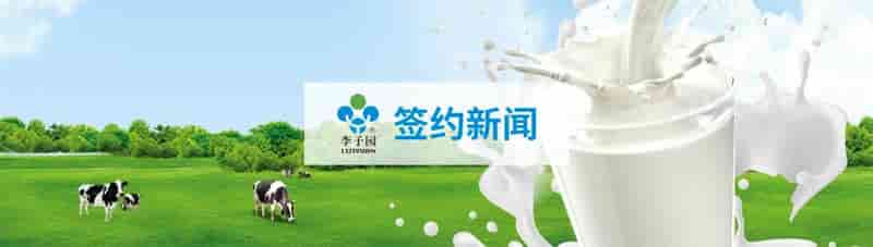 李子园选择泛微