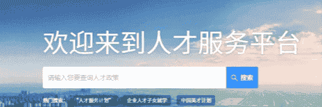 高层次人才一站式服务平台系统开发，人才综合服务平台
