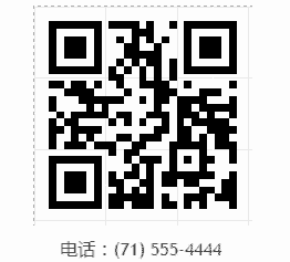 FastReport.NET