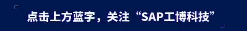 SAP B1版本 查看攻略
