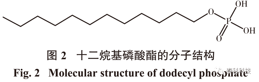 东北大学朱一民教授成果展示：基于CASTEP模拟的氟磷灰石与十二烷基磷酸酯作用机理研究