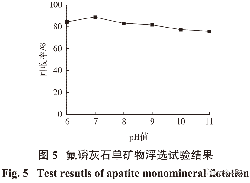 东北大学朱一民教授成果展示：基于CASTEP模拟的氟磷灰石与十二烷基磷酸酯作用机理研究