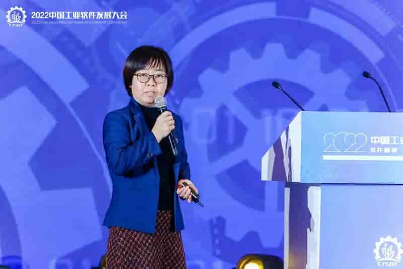 江苏省工信厅副厅长池宇莅临天洑软件展台