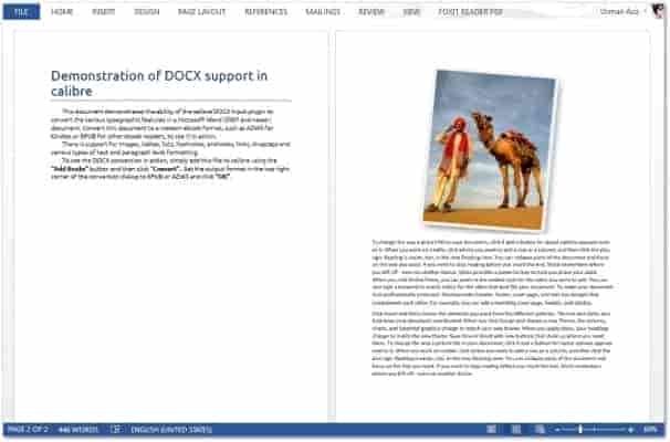 合并的 MS Word 文档