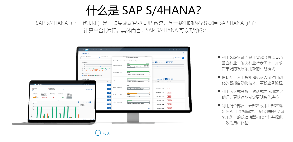 SAP的功能截图