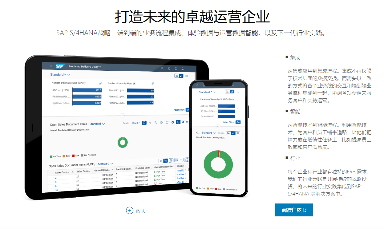 SAP的功能截图