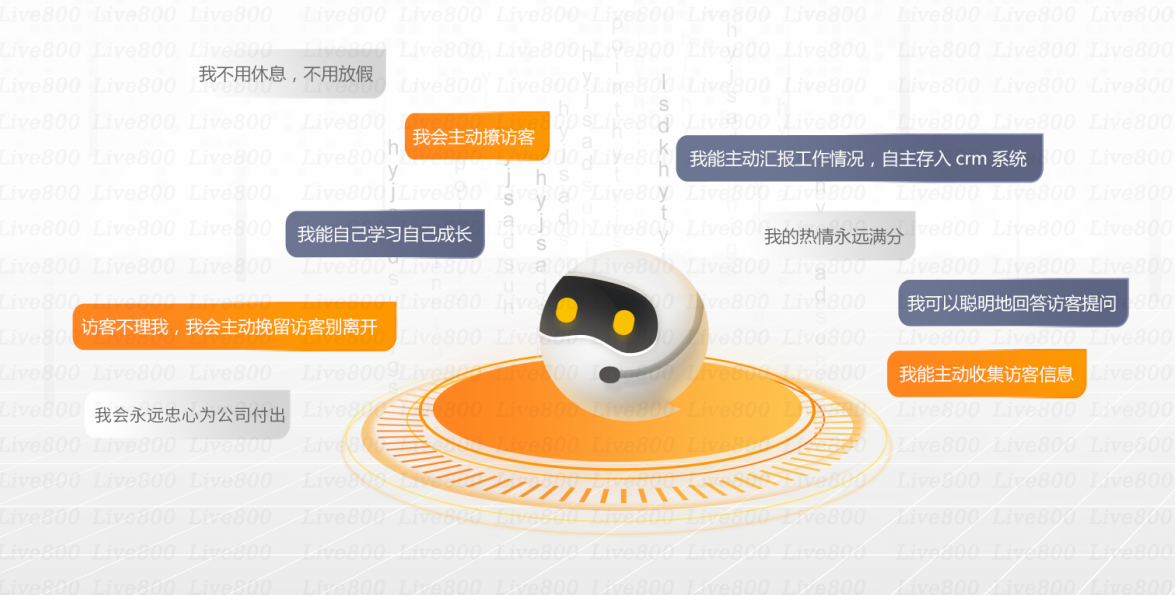 Live800的功能截图