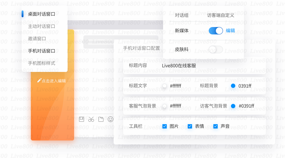 Live800的功能截图