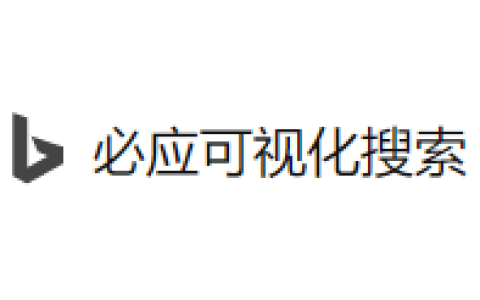 必应可视化搜索