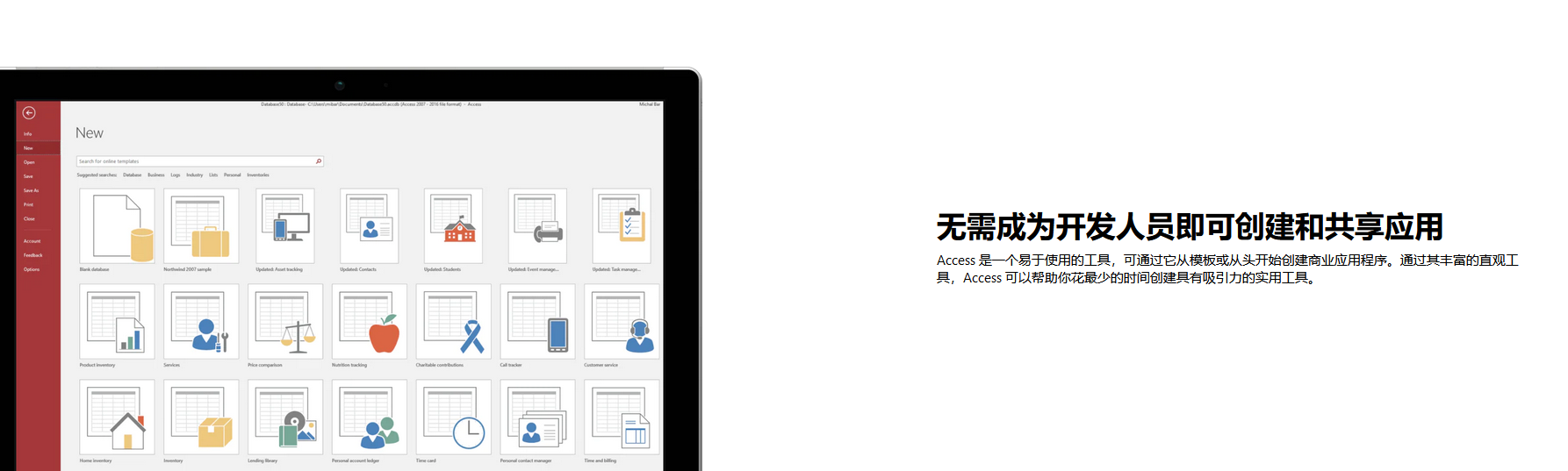 Microsoft Access的功能截图