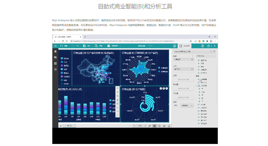 Wyn Enterprise的功能截图