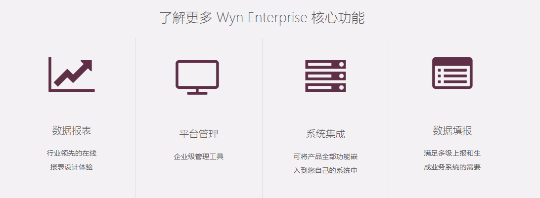 Wyn Enterprise的功能截图