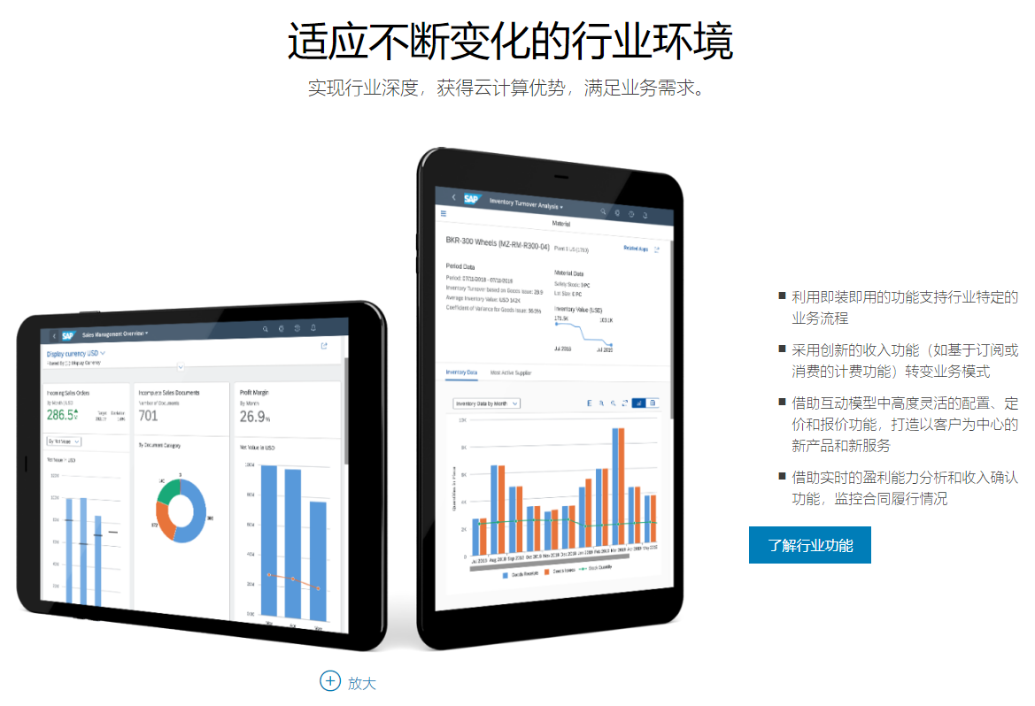 SAP的功能截图