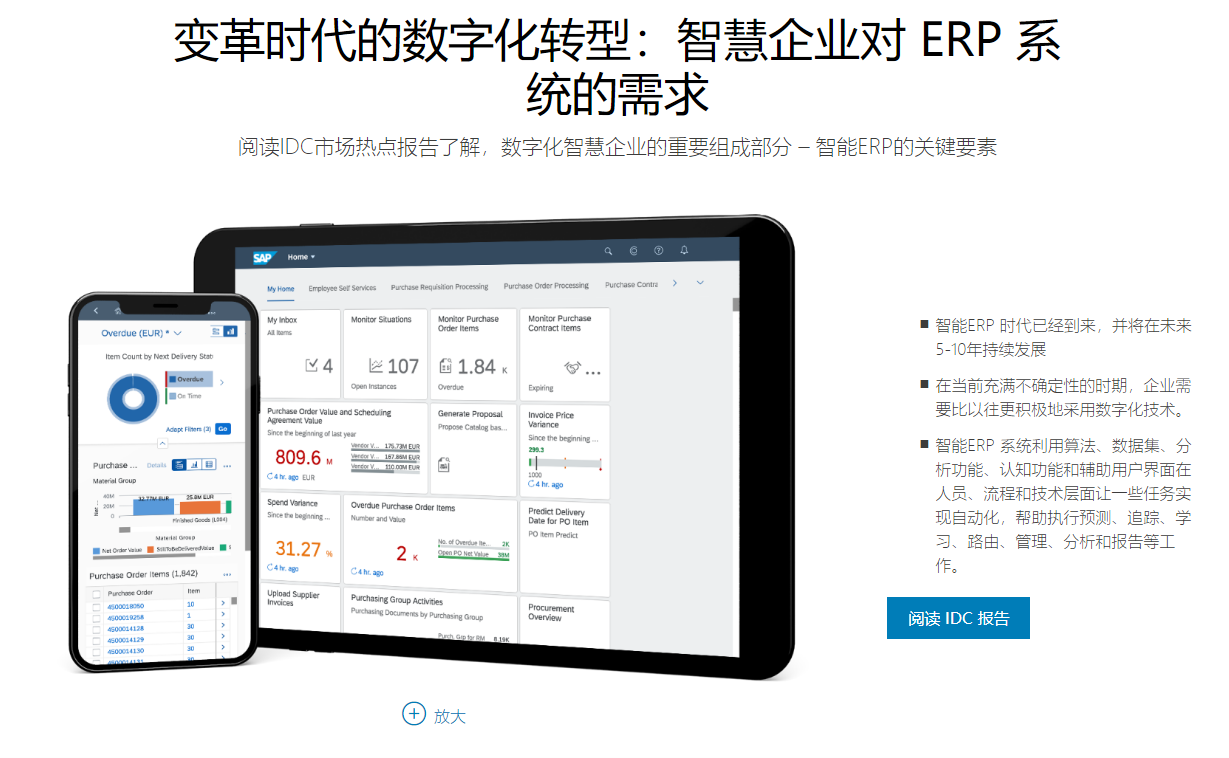 SAP的功能截图