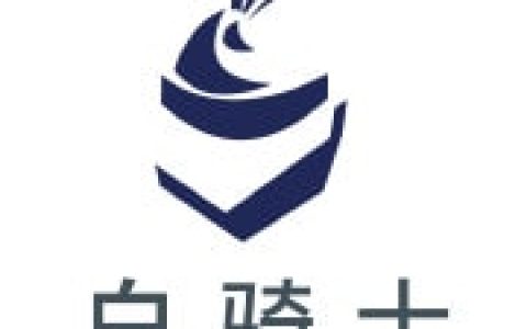 白骑士大数据