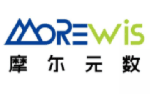 摩尔元数