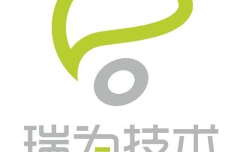 瑞为技术