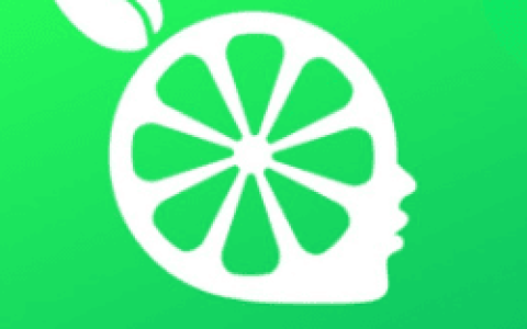 柠檬云财务软件
