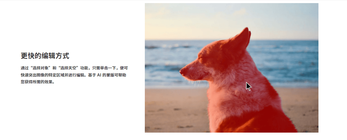 Adobe Photoshop Lightroom Classic的功能截图